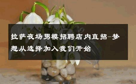 拉萨夜场男模招聘店内直招-梦想从选择加入我们开始 