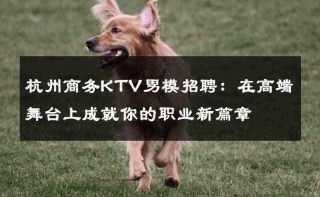 杭州商务KTV男模招聘：在高端舞台上成就你的职业新篇章 