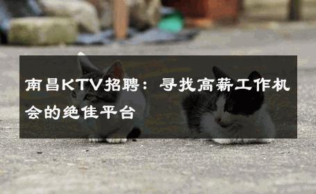 南昌KTV招聘：寻找高薪工作机会的绝佳平台 