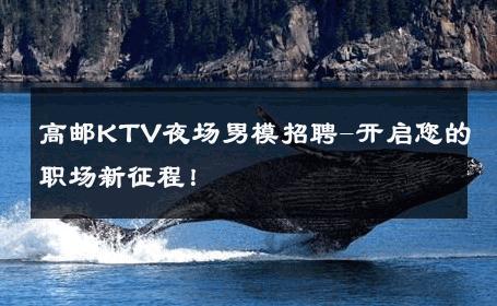 高邮KTV夜场男模招聘-开启您的职场新征程！ 