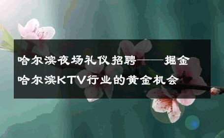 哈尔滨夜场礼仪招聘——掘金哈尔滨KTV行业的黄金机会 