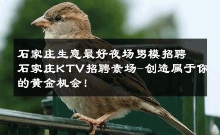 石家庄生意最好夜场男模招聘石家庄KTV招聘素场-创造属于你的黄金机会！ 