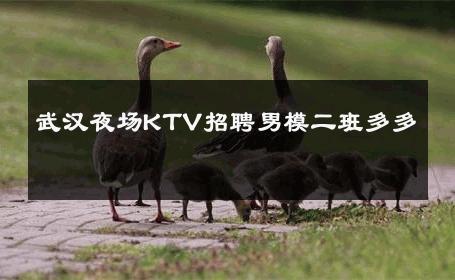 武汉夜场KTV招聘男模二班多多 