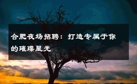 合肥夜场招聘：打造专属于你的璀璨星光 