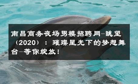 南昌商务夜场男模招聘网-眺望（2020）：璀璨星光下的梦想舞台-等你绽放！ 