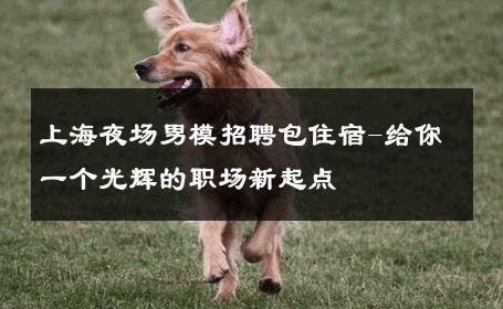 上海夜场男模招聘包住宿-给你一个光辉的职场新起点 
