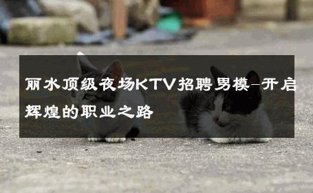 丽水顶级夜场KTV招聘男模-开启辉煌的职业之路 