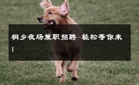 桐乡夜场兼职招聘-轻松等你来！ 