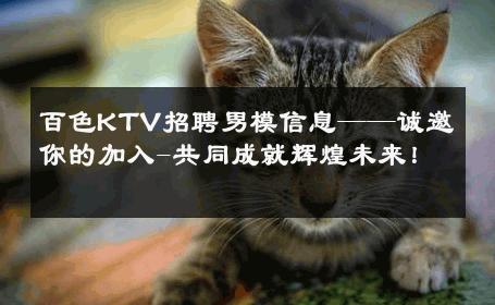 百色KTV招聘男模信息——诚邀你的加入-共同成就辉煌未来！ 