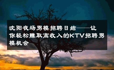 沈阳夜场男模招聘日结——让你轻松赚取高收入的KTV招聘男模机会 