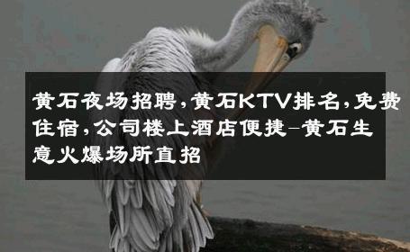 黄石夜场招聘,黄石KTV排名,免费住宿,公司楼上酒店便捷-黄石生意火爆场所直招