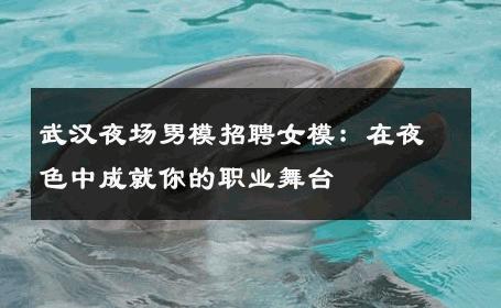 武汉夜场男模招聘女模：在夜色中成就你的职业舞台 