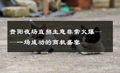 贵阳夜场直招生意非常火爆——一场成功的商机盛宴 