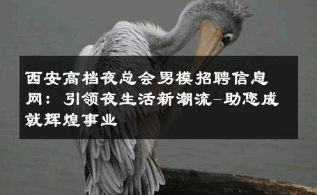 西安高档夜总会男模招聘信息网：引领夜生活新潮流-助您成就辉煌事业 