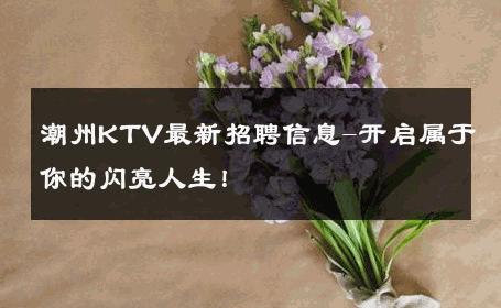 潮州KTV最新招聘信息-开启属于你的闪亮人生！ 