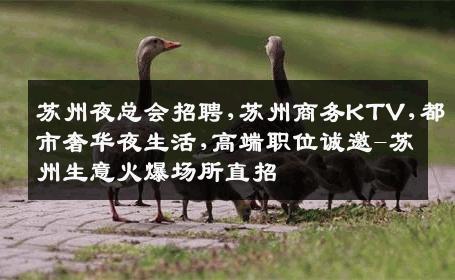 苏州夜总会招聘,苏州商务KTV,都市奢华夜生活,高端职位诚邀-苏州生意火爆场所直招
