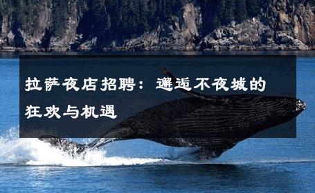 拉萨夜店招聘：邂逅不夜城的狂欢与机遇 
