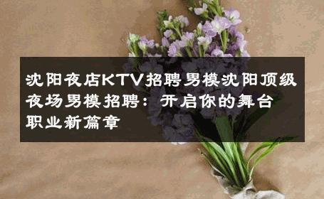 沈阳夜店KTV招聘男模沈阳顶级夜场男模招聘：开启你的舞台职业新篇章 