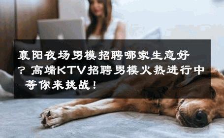 襄阳夜场男模招聘哪家生意好？高端KTV招聘男模火热进行中-等你来挑战！ 