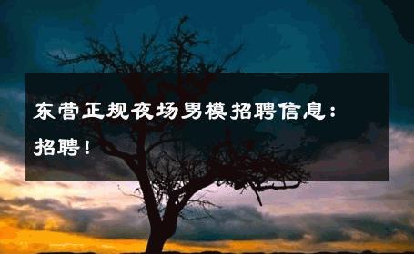 东营正规夜场男模招聘信息：招聘！ 