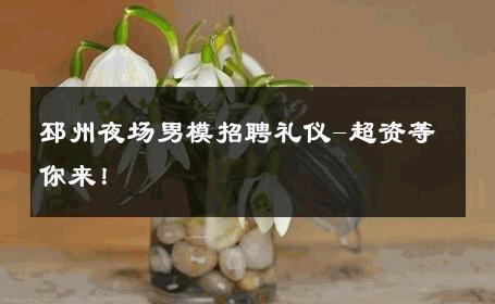 邳州夜场男模招聘礼仪-超资等你来！ 