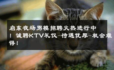 启东夜场男模招聘火热进行中！诚聘KTV礼仪-待遇优厚-机会难得！ 