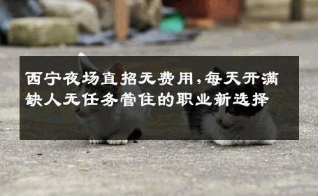 西宁夜场直招无费用,每天开满缺人无任务管住的职业新选择 