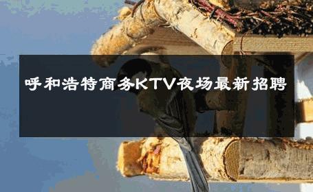 呼和浩特商务KTV夜场最新招聘 