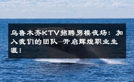 乌鲁木齐KTV招聘男模夜场：加入我们的团队-开启辉煌职业生涯！ 