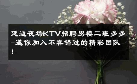 延边夜场KTV招聘男模二班多多-邀你加入不容错过的精彩团队！ 