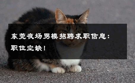东莞夜场男模招聘求职信息：职位空缺！ 