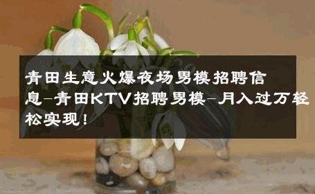 青田生意火爆夜场男模招聘信息-青田KTV招聘男模-月入过万轻松实现！ 