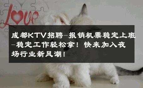 成都KTV招聘-报销机票稳定上班-稳定工作轻松拿！快来加入夜场行业新风潮！ 