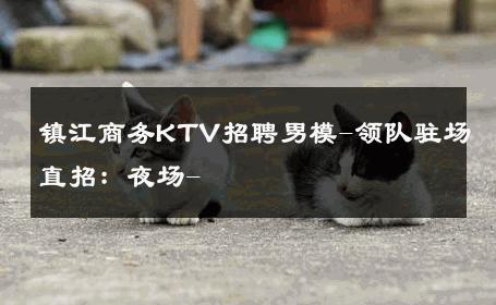 镇江商务KTV招聘男模-领队驻场直招：夜场- 