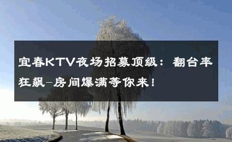 宜春KTV夜场招募顶级：翻台率狂飙-房间爆满等你来！ 