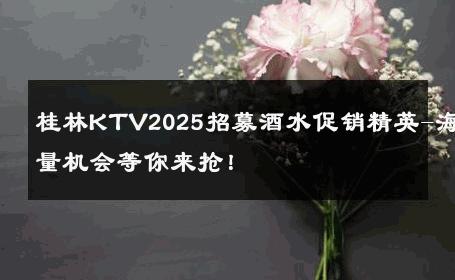 桂林KTV2025招募酒水促销精英-海量机会等你来抢！ 