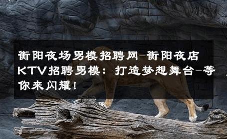 衡阳夜场男模招聘网-衡阳夜店KTV招聘男模：打造梦想舞台-等你来闪耀！ 