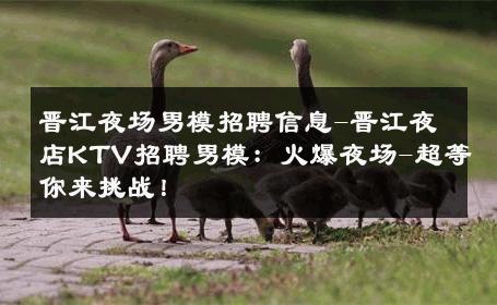 晋江夜场男模招聘信息-晋江夜店KTV招聘男模：火爆夜场-超等你来挑战！ 