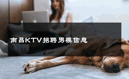 南昌KTV招聘男模信息 