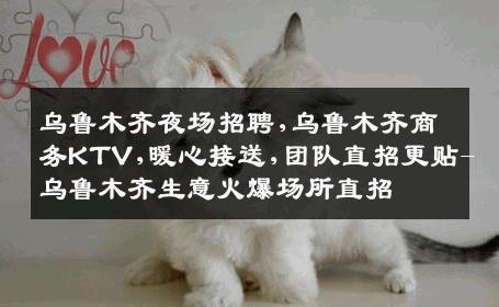 乌鲁木齐夜场招聘,乌鲁木齐商务KTV,暖心接送,团队直招更贴-乌鲁木齐生意火爆场所直招