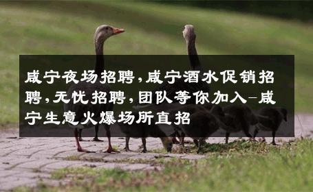 咸宁夜场招聘,咸宁酒水促销招聘,无忧招聘,团队等你加入-咸宁生意火爆场所直招