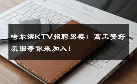 哈尔滨KTV招聘男模：高工资好氛围等你来加入！ 