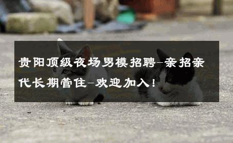 贵阳顶级夜场男模招聘-亲招亲代长期管住-欢迎加入！ 
