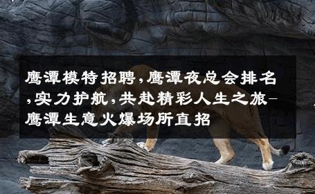 鹰潭模特招聘,鹰潭夜总会排名,实力护航,共赴精彩人生之旅-鹰潭生意火爆场所直招