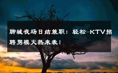 聊城夜场日结兼职：轻松-KTV招聘男模火热来袭！ 