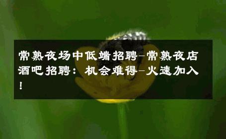 常熟夜场中低端招聘-常熟夜店酒吧招聘：机会难得-火速加入！ 