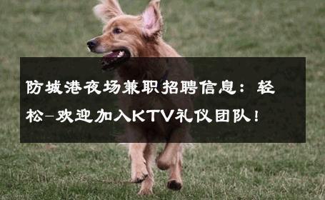 防城港夜场兼职招聘信息：轻松-欢迎加入KTV礼仪团队！ 