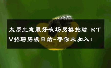 太原生意最好夜场男模招聘-KTV招聘男模日结-等你来加入！ 