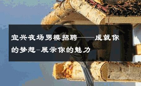 宜兴夜场男模招聘——成就你的梦想-展示你的魅力 