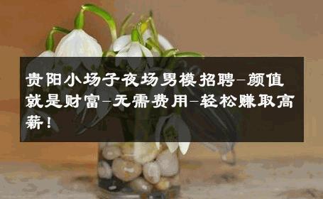 贵阳小场子夜场男模招聘-颜值就是财富-无需费用-轻松赚取高薪！ 